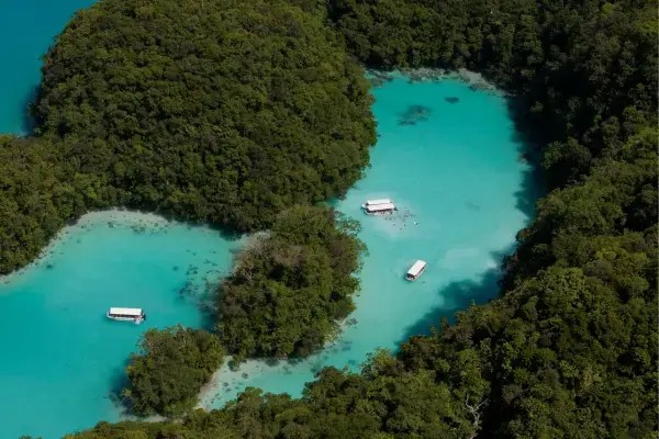 Milky Way em Palau (Fonte: Canva)
