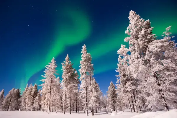 Árvores cobertas de neve e aurora boreal no céu da Finlândia