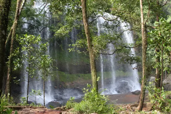 Palau's Ngardmau Waterfall (Fonte: Canva)