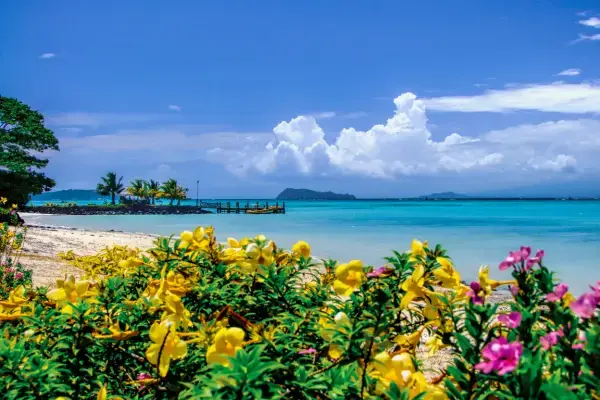 Praia em Samoa (Fonte: Canva)