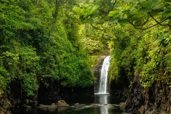 Cachoeira em meio ao verde da natureza em Taveuni