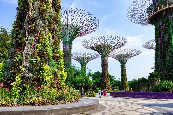 Superárvores em Gardens By the Bay, em Singapura
