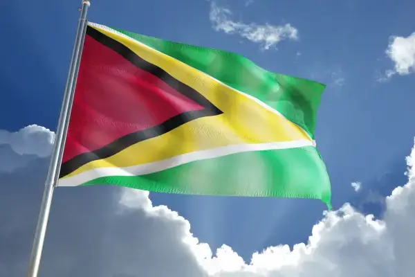 Bandeira da Guiana estiada