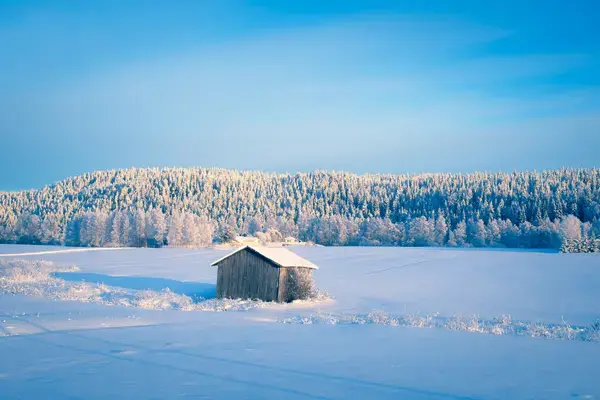 Paisagem coberta de neve