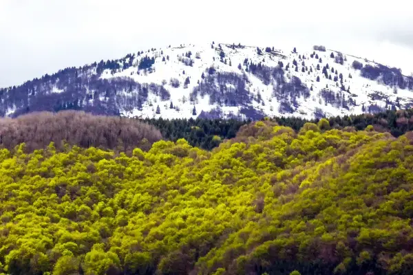 Parque Nacional Pelister – Macedônia do Norte (Fonte: Canva)