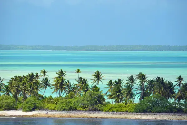Mar azul e árvores da Ilha Fanning, em Kiribati