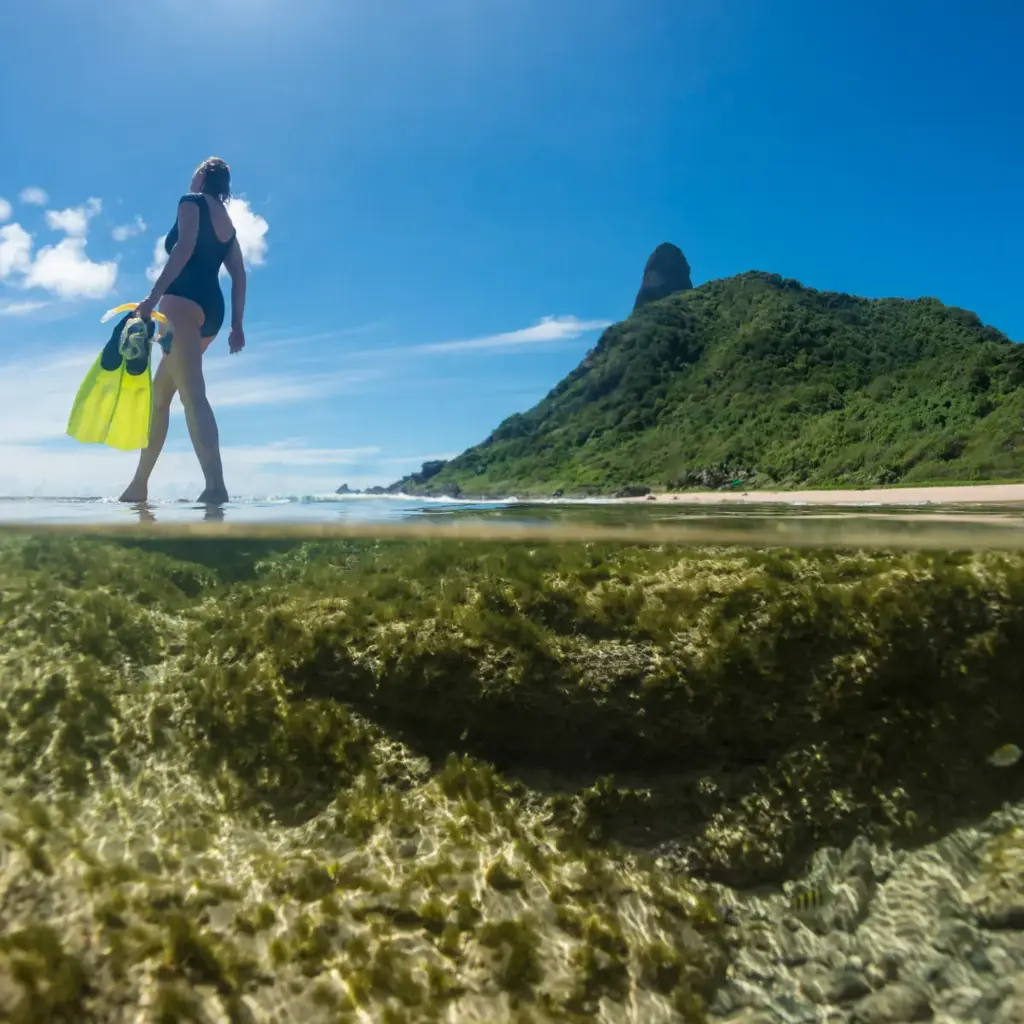 imagem capa do post Fernando de Noronha: passeios, dicas, curiosidades e custos