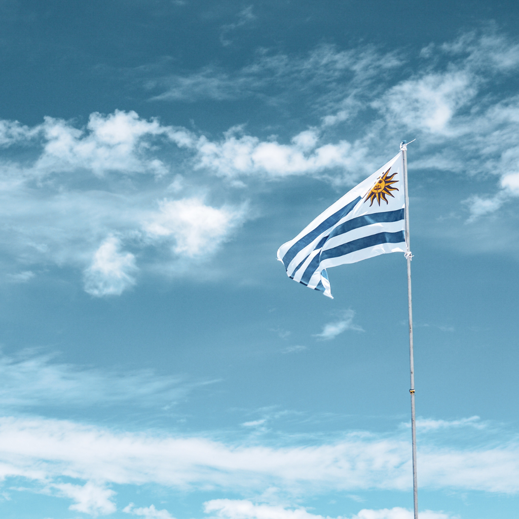 imagem capa do post Carta Verde Uruguai: o que é, quanto custa e onde comprar!