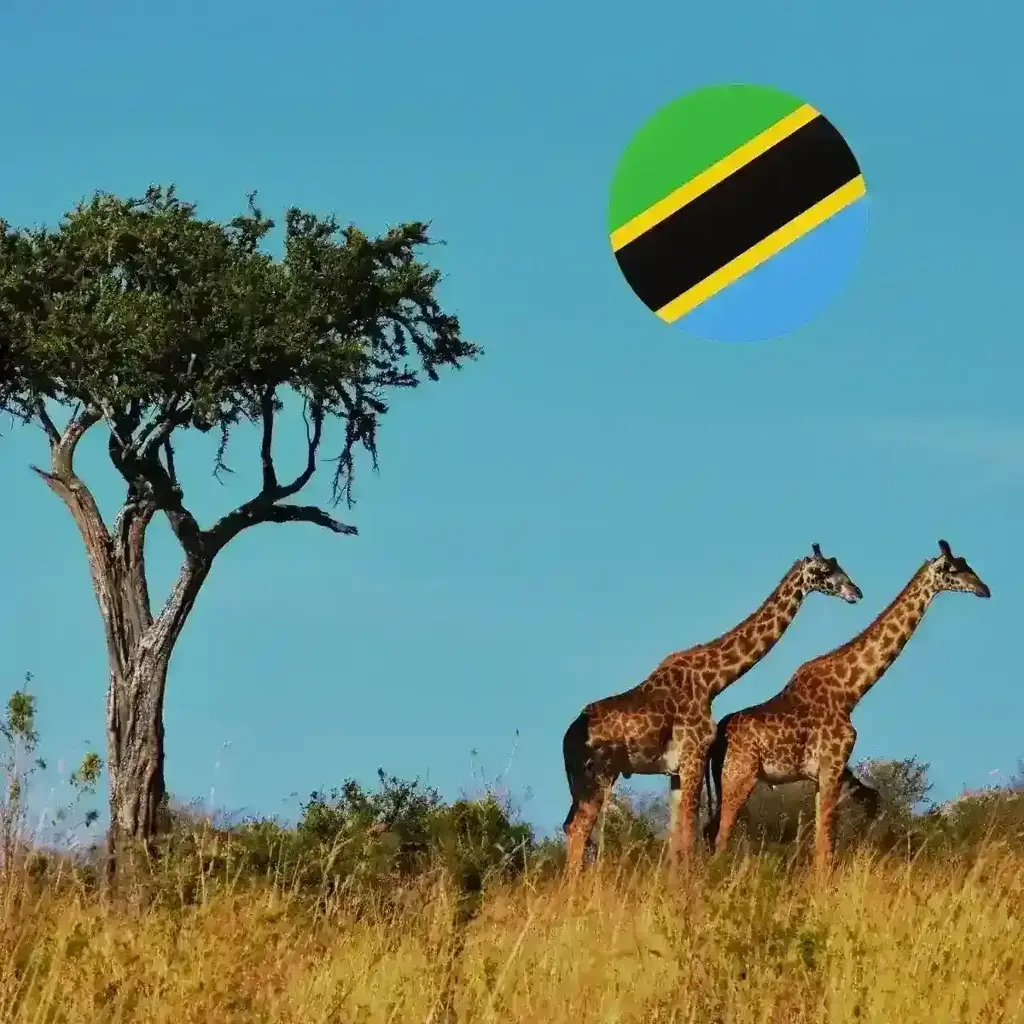 imagem capa do post Turismo na Tanzânia: preços, atrações turísticas e dicas!