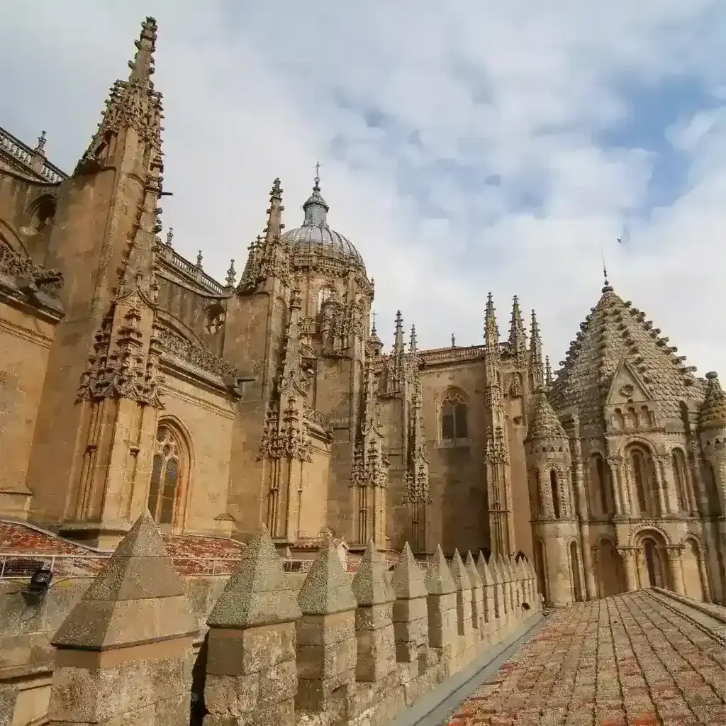 Salamanca, uma cidade encantadora a ser descoberta!