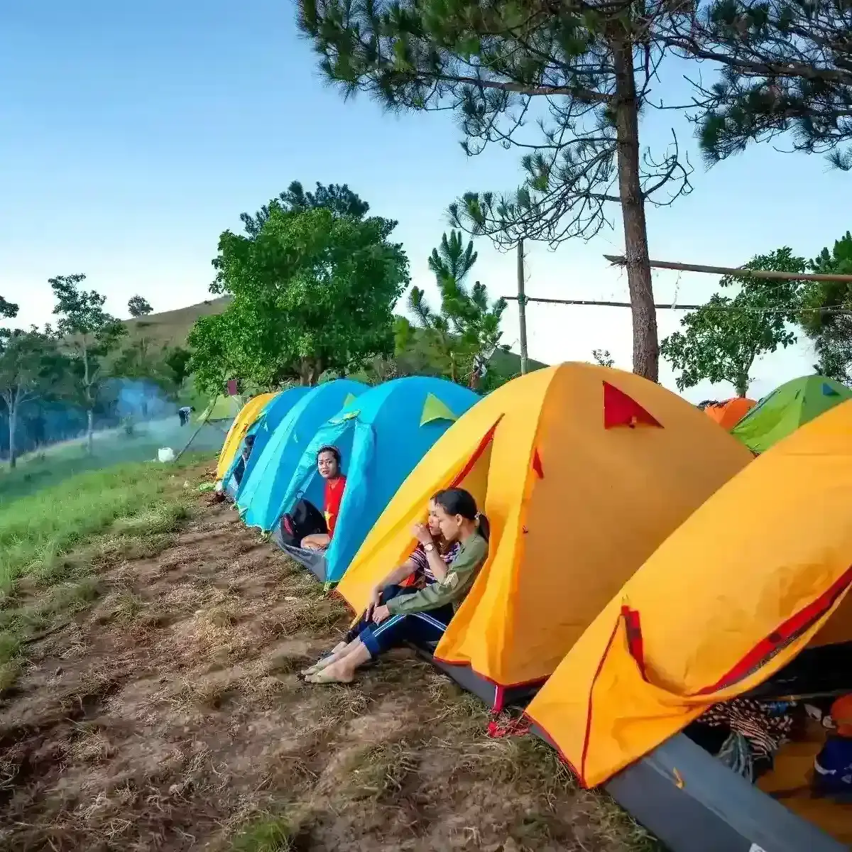 Os Melhores Destinos para Acampar no Brasil e Desfrutar da…