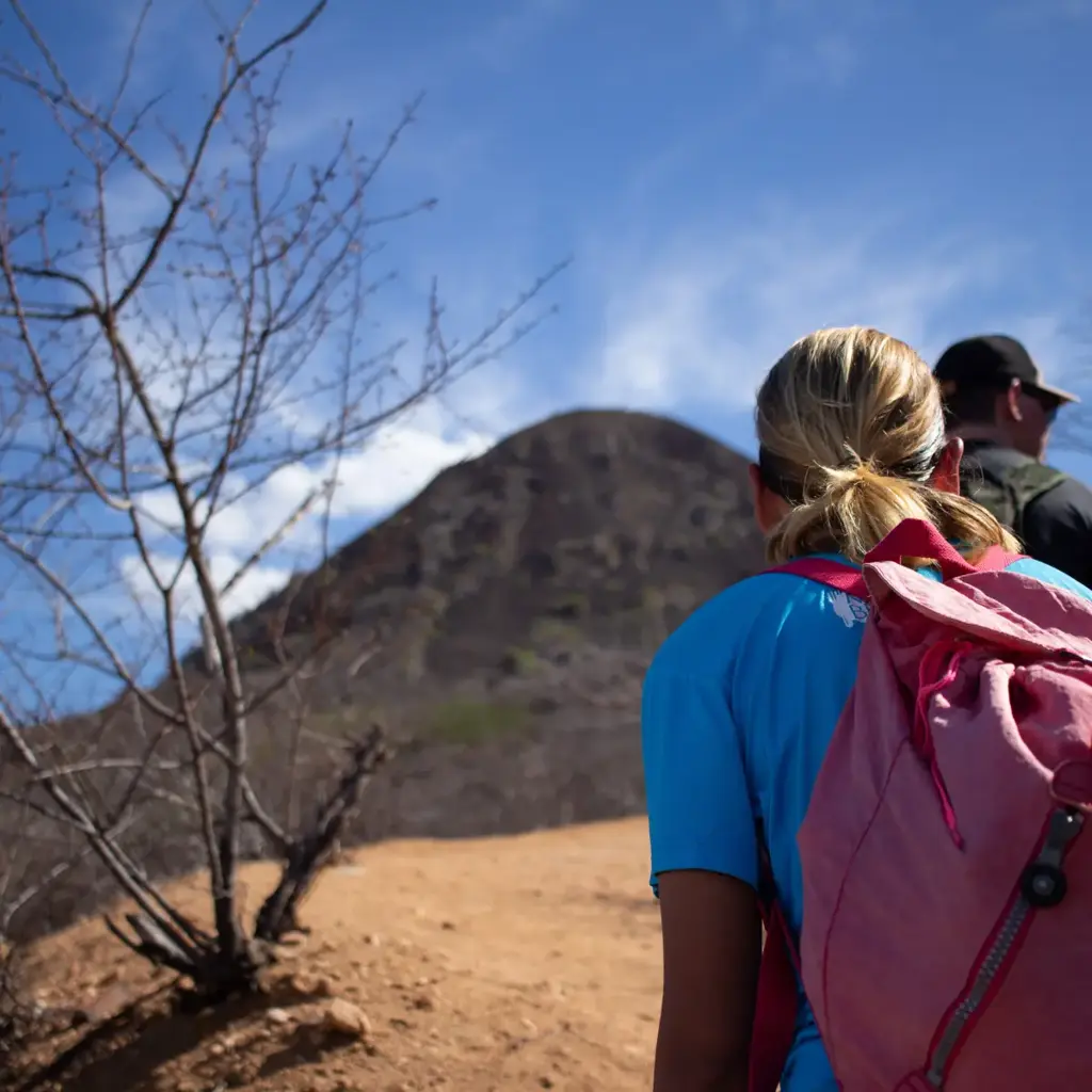 imagem capa do post Pico do Cabugi: descobrindo um vulcão na caatinga!