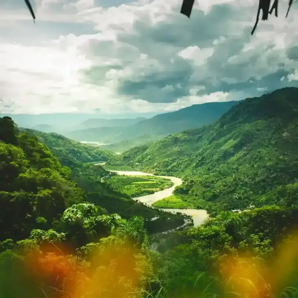 imagem capa do post SOAT: Entenda o Seguro Obrigatório para viajar!