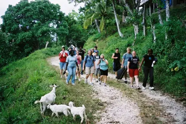 Blue Mountains jamaica