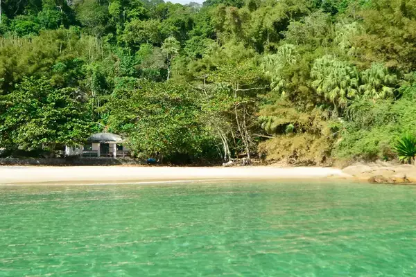 Praia de Parnaioca com mar verde e Mata Atlântica em Ilha Grande