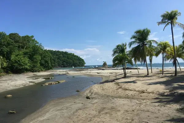 Praia com coqueiros na Península de Nicoya, Costa Rica