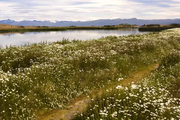 Paisagem da Laguna Nimez, Argentina