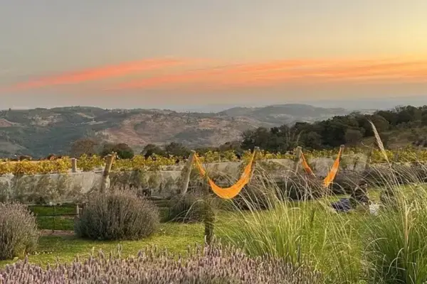 vinícolas em Espírito Santo do Pinhal