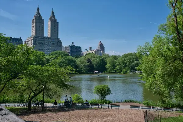 Lago e árvores verdes no Central Park durante o verão.