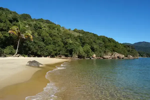 Praia da Feiticeira com mar calmo e vegetação em Ilha Grande