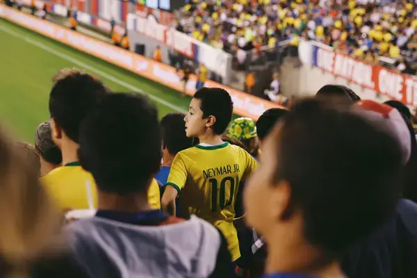 Torcedor brasileiro com camisa da seleção acompanhando jogo em estádio