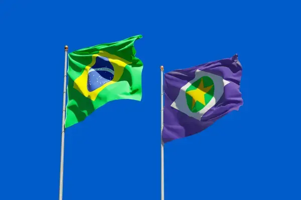 Bandeira do Brasil e do Mato Grosso