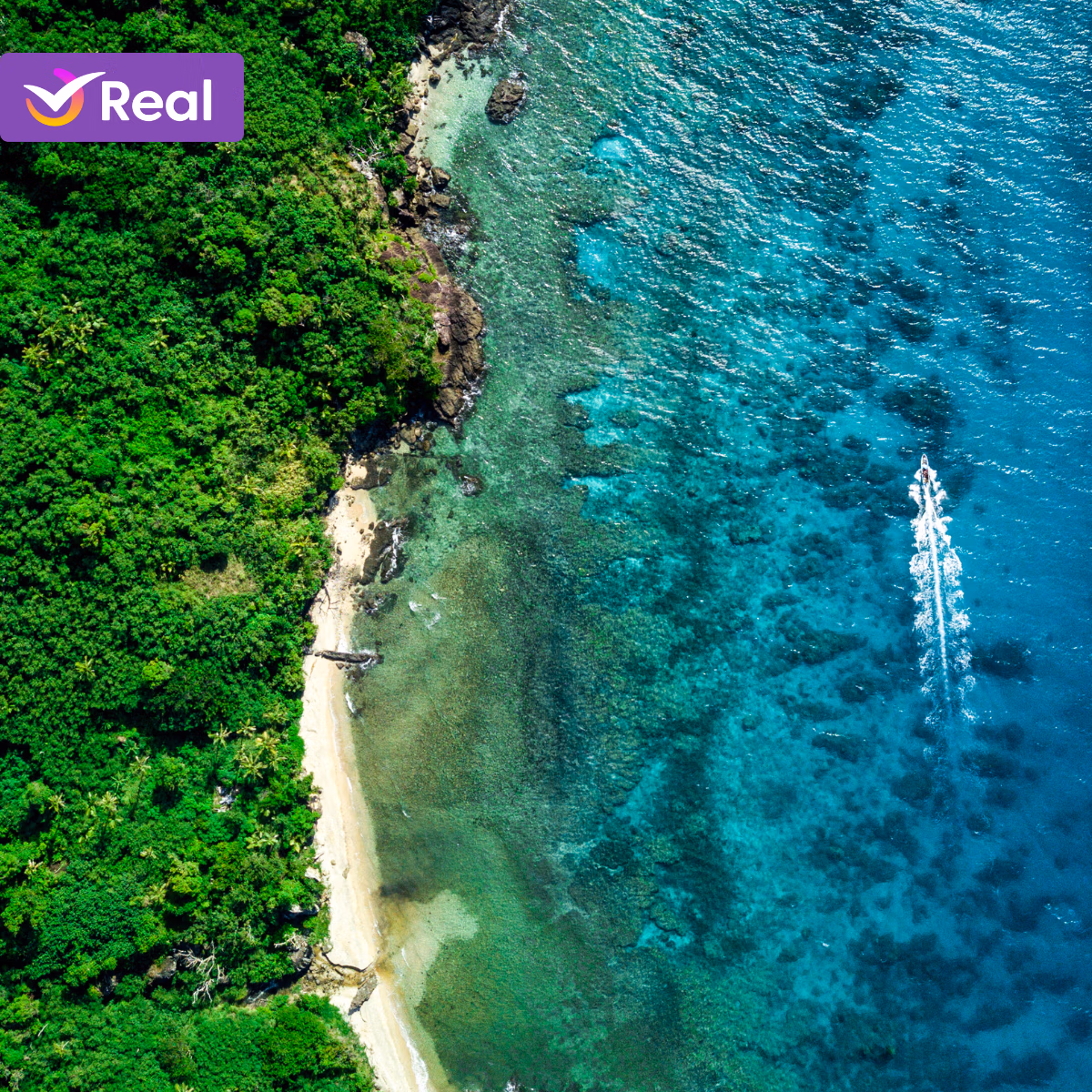 imagem de capa da publicação Descubra o Paraíso das Ilhas Fiji!