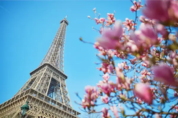 Torre Eiffel cercada por flores na primavera, com céu azul e árvores floridas em Paris