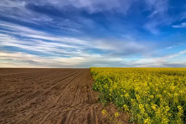 Campo de área rural