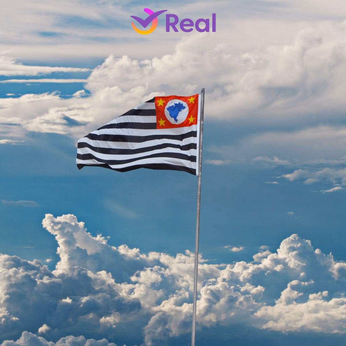 imagem de capa da publicação O que fazer no estado de São Paulo?