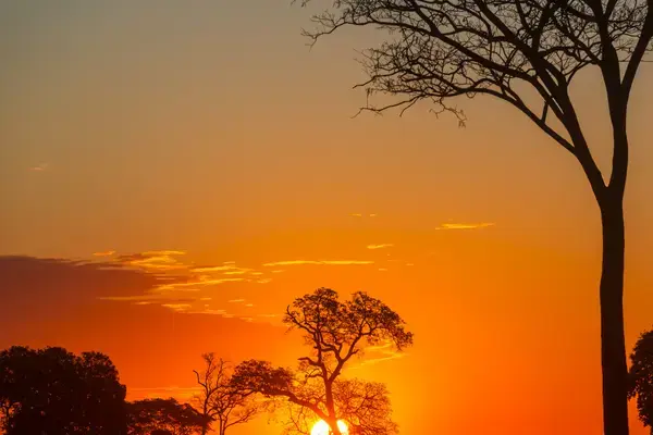 Por do sol em um ambiente natural
