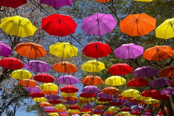 Guarda-chuvas ne Expoflora 2025 (Fonte: Arquivo Pessoal/Emilly Chagas)