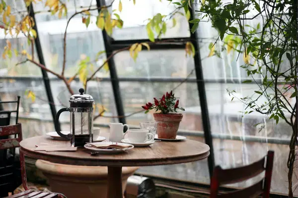Mesa de café com prensa francesa, xícaras e vaso de pimentas em ambiente acolhedor com plantas
