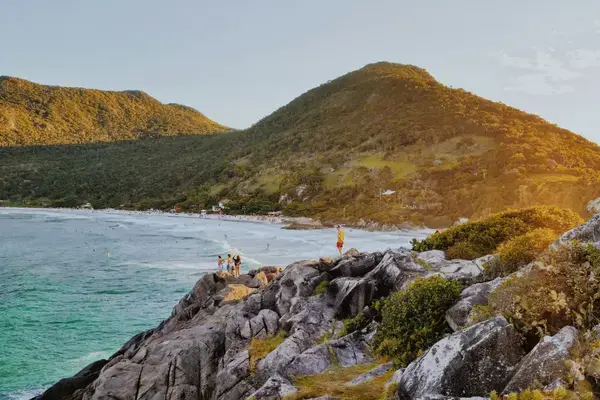 Trilha no sul da Ilha de Florianópolis com mar ao fundo durante a primavera