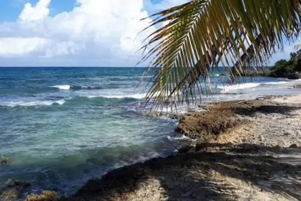 montego bay jamaica