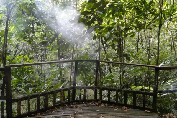 fazenda vagafogo pirenopolis goias