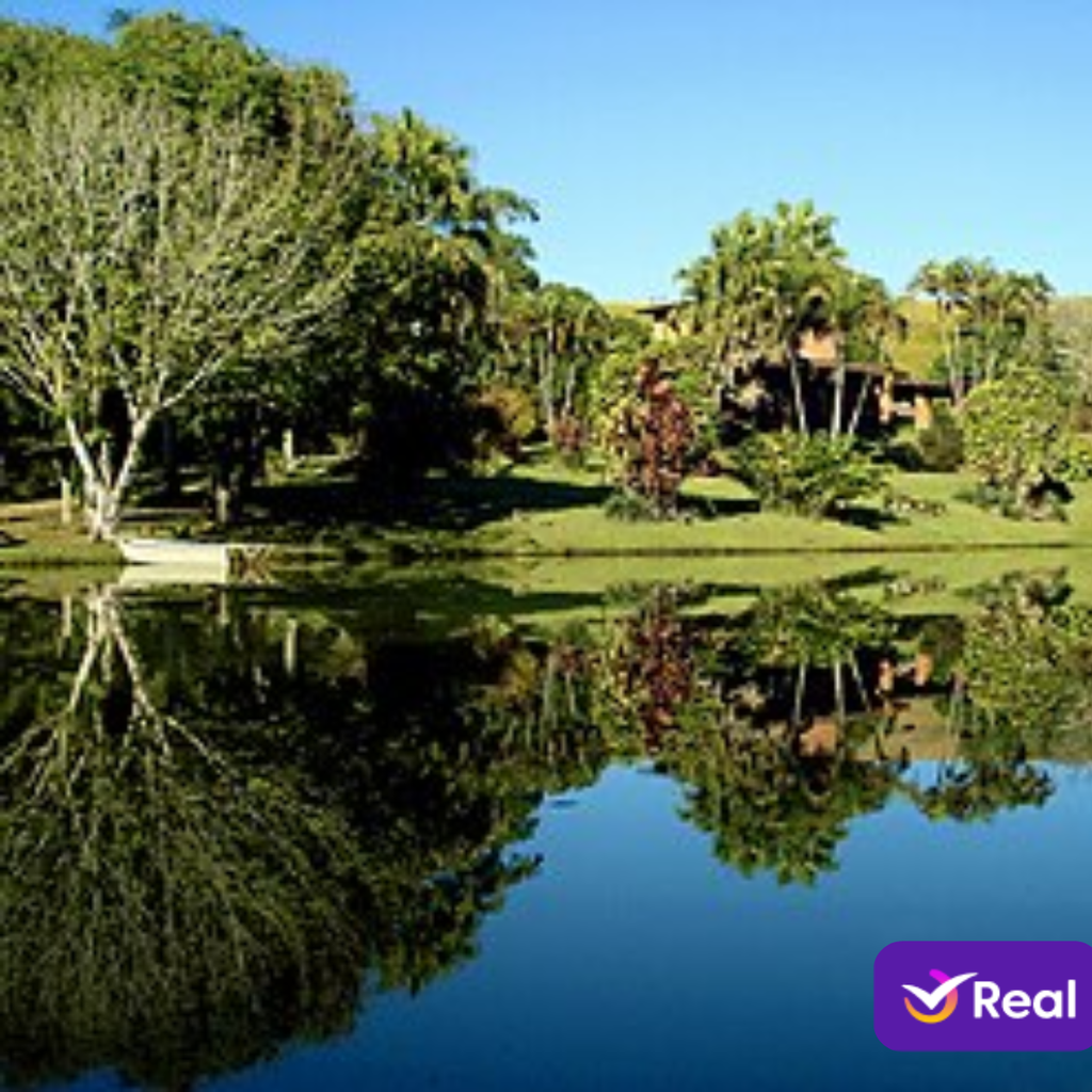 imagem de capa da publicação O que fazer em Araponga/MG: Guia completo do paraíso das montanhas mineiras