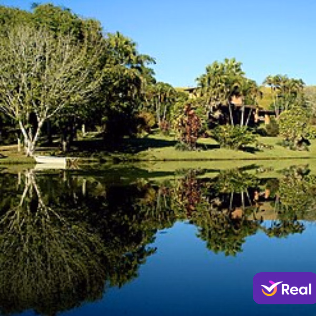 imagem de capa da publicação O que fazer em Araponga/MG: Guia completo do paraíso das montanhas mineiras