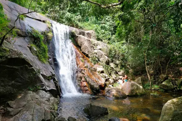 Cachoeira da Feiticeira cercada pela Mata Atlântica em Ilha Grande
