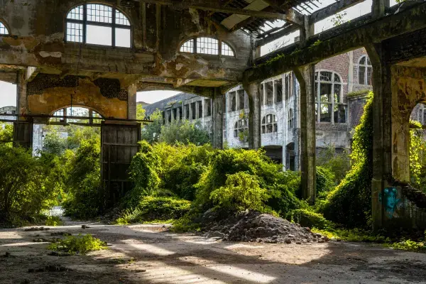 Interior de prédio abandonado com paredes em ruínas e vegetação tomando conta do espaço.
