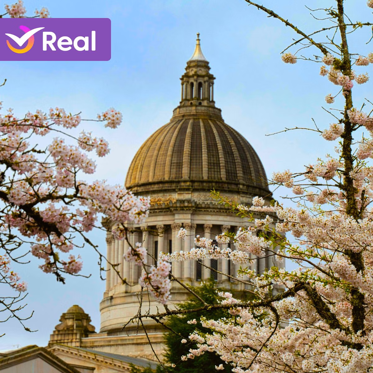 imagem de capa da publicação Primavera nos EUA 2026: O Guia Completo para Sua Viagem