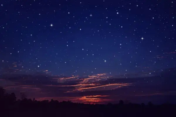 Céu estrelado em tons azulados sobre silhueta de árvores ao entardecer