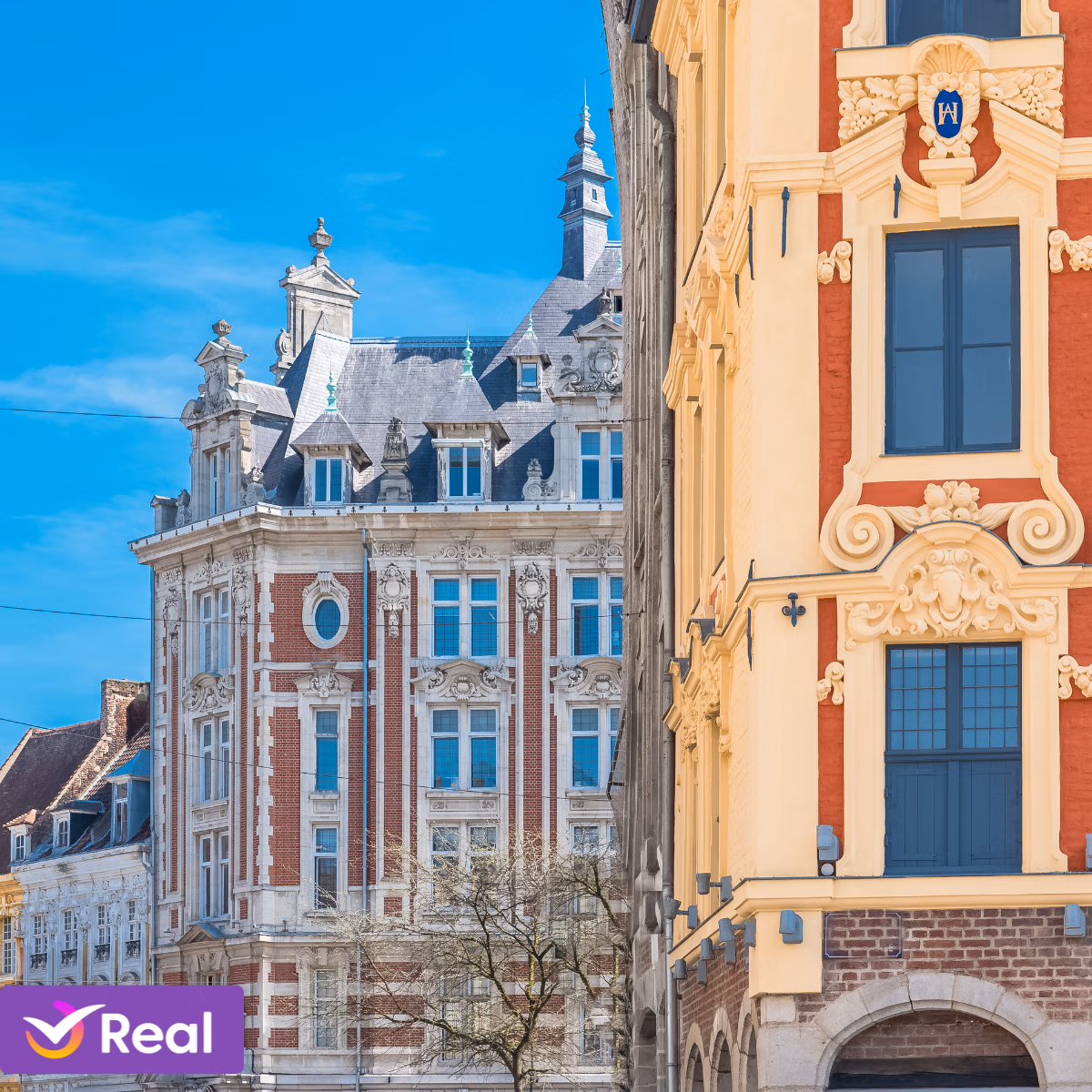 imagem de capa da publicação O que fazer em Lille: guia da capital da Flandres francesa!