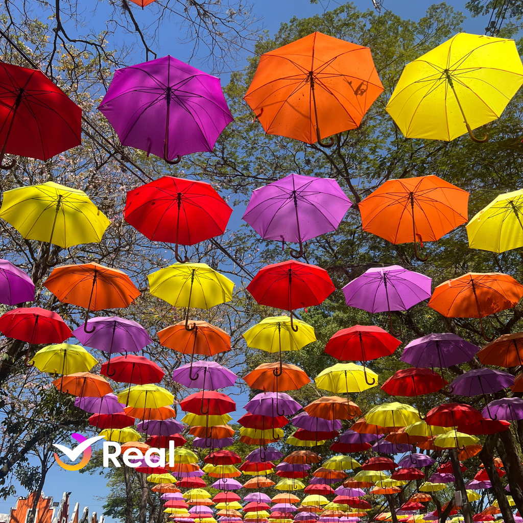 imagem capa do post Expoflora 2025 em Holambra: datas, ingressos e dicas!