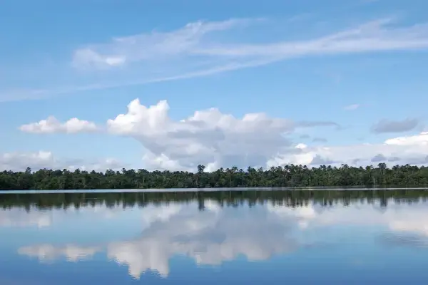Reflexo de nuvens e floresta no Lago Quistococha em Iquitos, Amazônia peruana