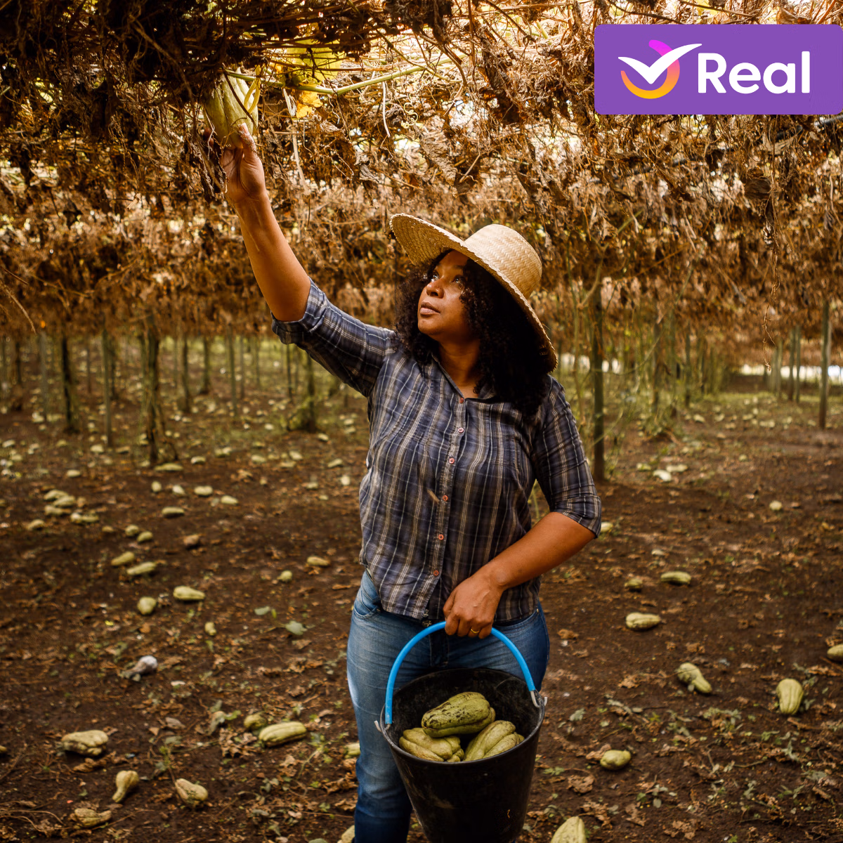 imagem de capa da publicação Turismo Rural: Sua próxima experiência de viagem!