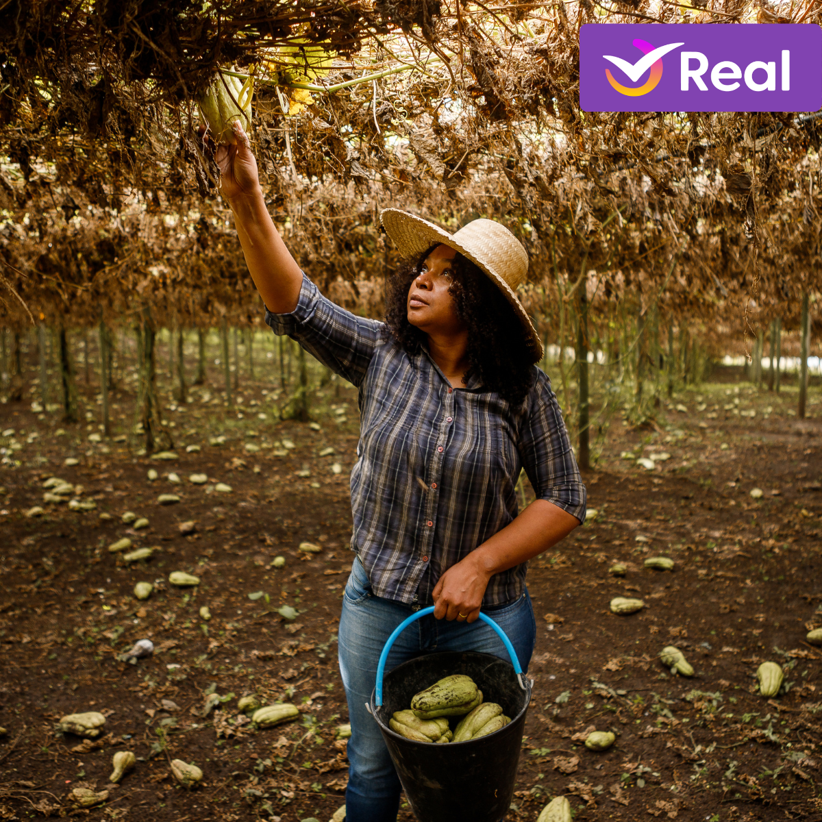 imagem capa do post Turismo Rural: Sua próxima experiência de viagem!