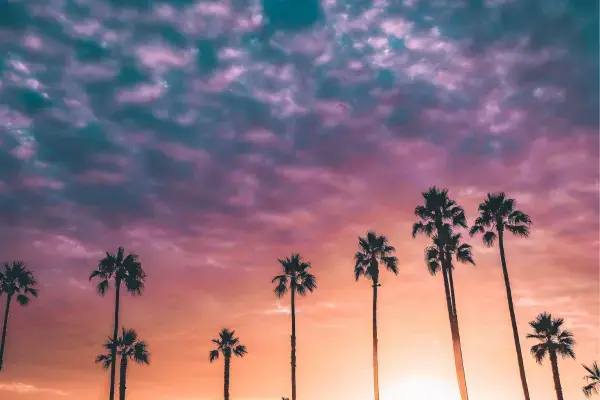 Praia de Venice, na California