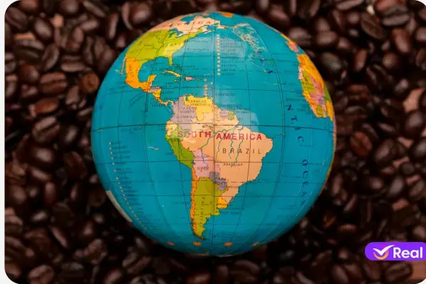 Globo terrestre com foco na América do Sul. Fundo com grãos de café.