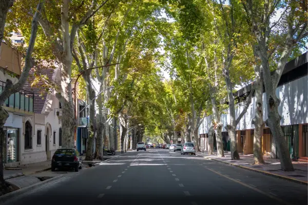 Rua arborizada no centro de Mendoza